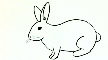 Рисунок зайчика для детей легкий