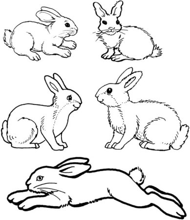 Рисунок зайчика легкий