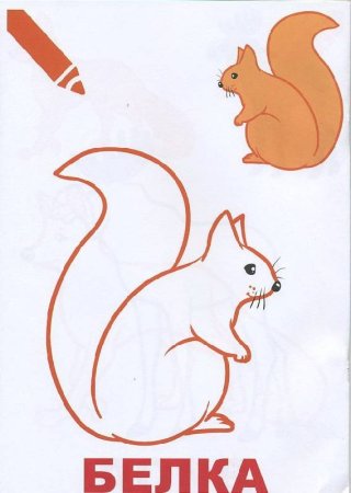 Белочка рисунок для детей