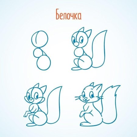 Поэтапное рисование белочки