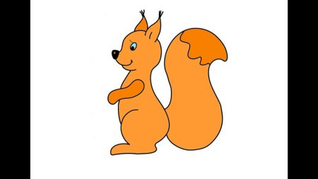 Белка для срисовки