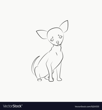 Рисунок той терьера карандашом для детей