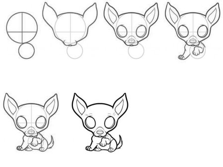 Поэтапное рисование собаки чихуахуа
