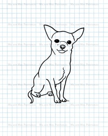Рисунок чихуахуа легкий