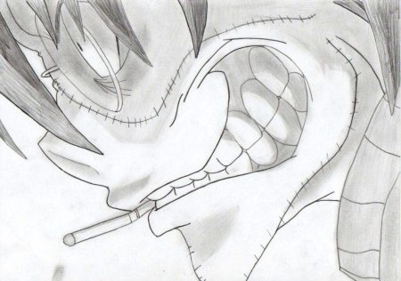 Рисунки карандашом анем