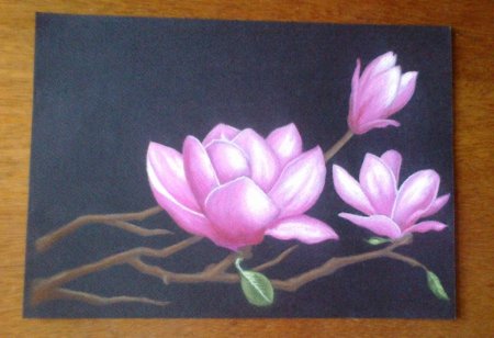 Рисунки пастелью сухой лёгкие