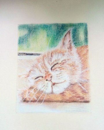 Коты масляной пастелью