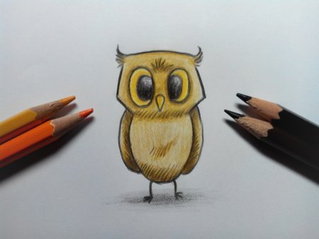 Сова карандашом