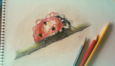 Акварель и цветные карандаши