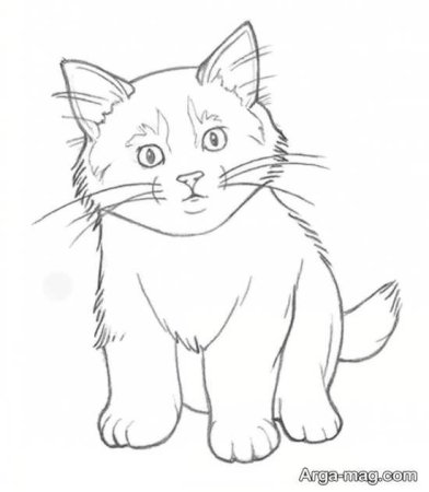 Кошка карандашом для детей