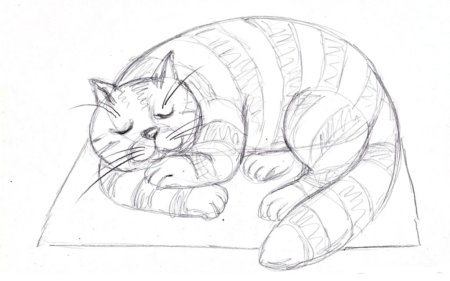 Лежачая кошка карандашом