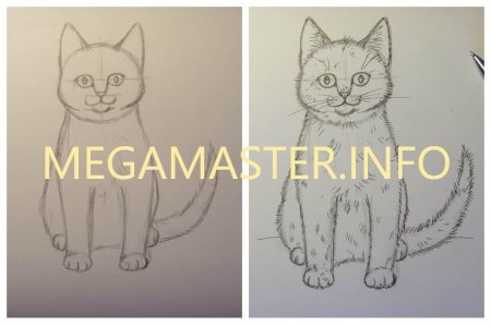 Схема рисования котенка для детей