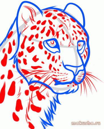 Леопард для срисовки