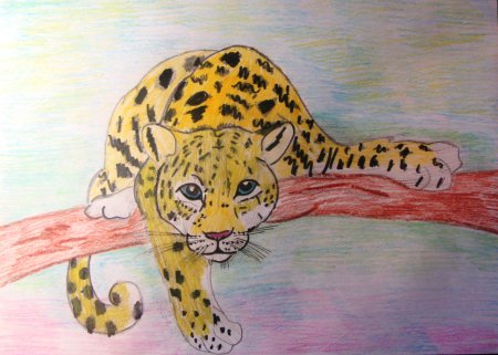 Леопард рисунок