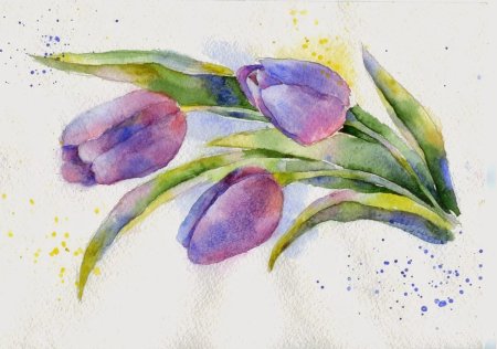 Тюльпаны акварелью для начинающих