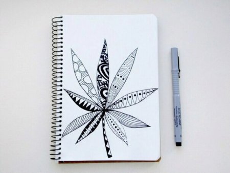 Рисунки ручкой легкие