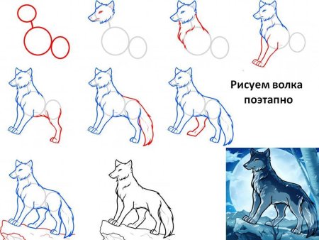 Как нарисовать волка поэтами