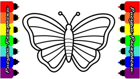 Бабочка раскраска для детей