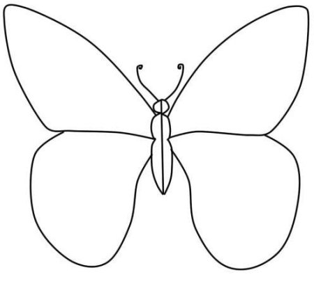 Бабочка карандашом