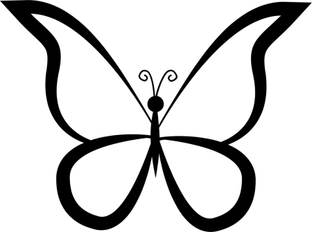 Бабочка контур