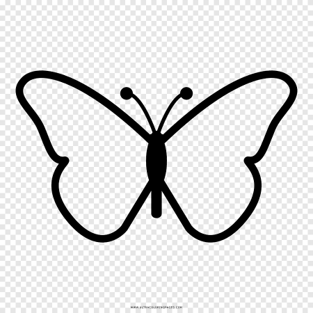Бабочка контур