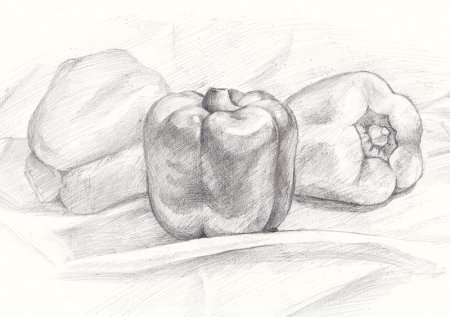 Натюрморт рисунок карандашом
