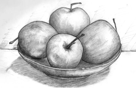 Натюрморт рисунок карандашом