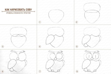 Пошаговое рисование Совы