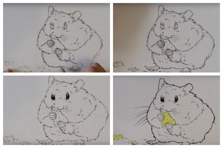 Хомяк рисунок карандашом