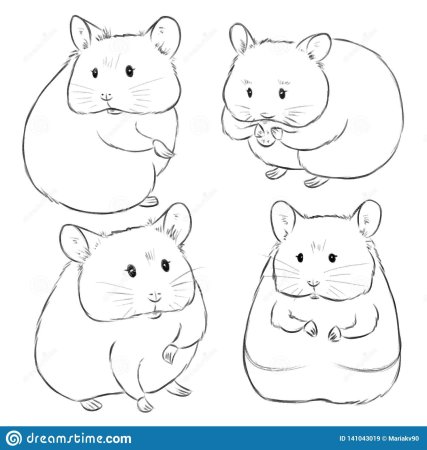 Хомяк рисунок карандашом