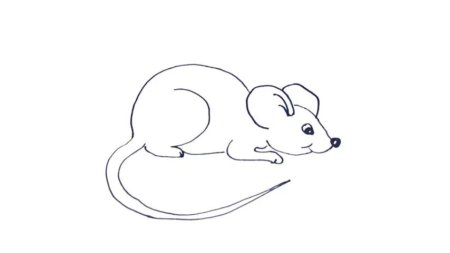 Мышка рисунок для детей карандашом
