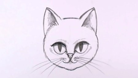 Кошка рисунок карандашом