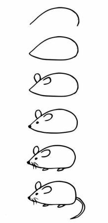 Поэтапное рисование попугая