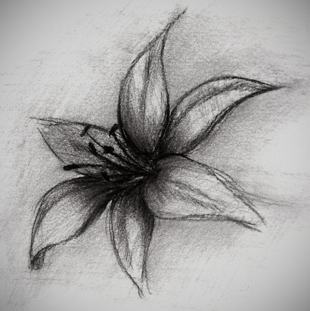 Рисунки углем для начинающих