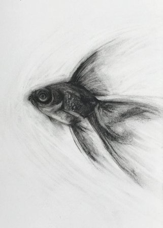 Рисунки углем