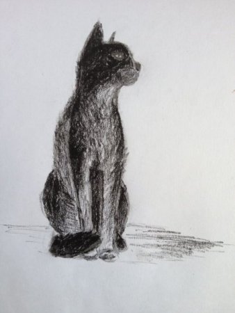 Графика углем