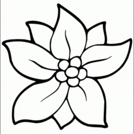 Лёгкие раскраски цветы
