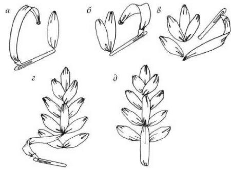 Вышивка лентами для начинающих схемы