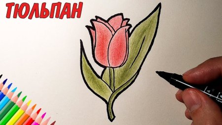 Простые рисунки фломастерами для детей