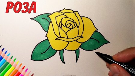 Рисование фломастерами для начинающих