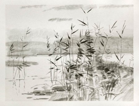 Японская живопись тушью тростник