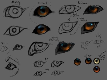 Глаза волка референс