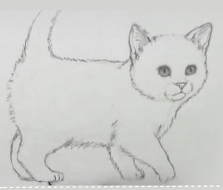 Рисунок котёнка для детей 1 класса