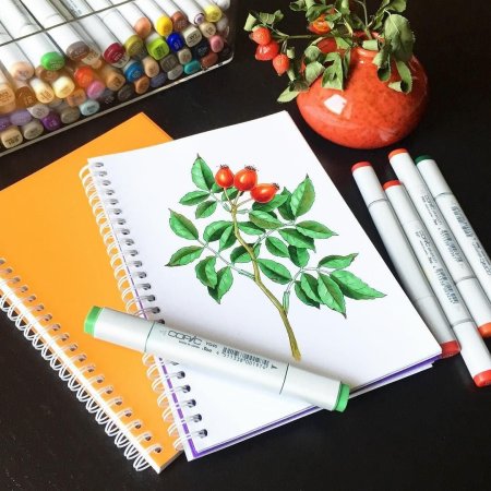 Рисунки маркерами для скетчинга легкие