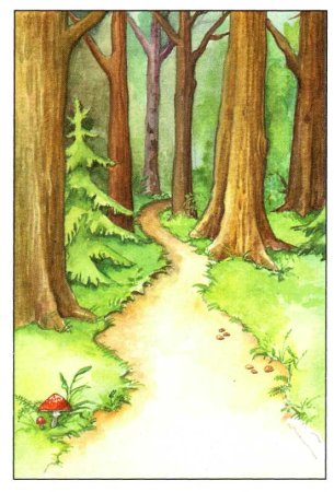 Тропинка в лесу для детей