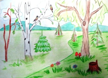 Детские рисунки леса карандашом