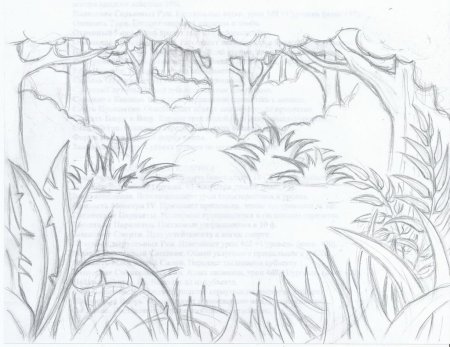 Рисунки природы для срисовки легкие для детей