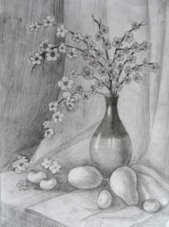 Натюрморт карандашом