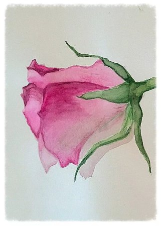 Рисунки акварелью легкие