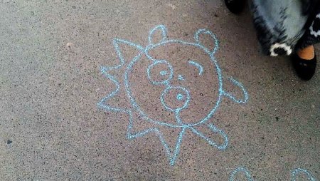 Животные мелками на асфальте